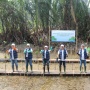 Mangrove, Pohon Ajaib yang Menyerap Karbon 20x Lebih Banyak dari Hutan Tropis