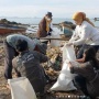 Untuk Wujudkan Pengurangan Sampah Laut 70% pada 2025, Gerakan Partisipatif Masyarakat Patut Diapresiasi
