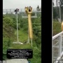 Video Viral Detik-detik Korban Jatuh dari Jembatan Kaca di Wisata The Geong Banyumas