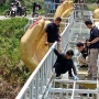 BREAKING NEWS! Pemilik Wisata The Geong Banyumas Jadi Tersangka Tragedi Jembatan Kaca Pecah