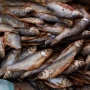 Baik untuk Tulang, Berikut 3 Manfaat Mengonsumsi Ikan Asin Bagi Tubuh