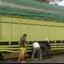 Truk Pengangkut Logistik Pemilu 2024 Kecelakaan di Lampung Timur, Satu Orang Meninggal Dunia