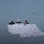 Perjuangan Penimba Air di Sungai Mandar, Berenang hingga 3 Km Demi Dapat Air Bersih