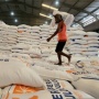 Jutaan Beras Impor Tak Mampu Atasi Kenaikan Harga