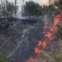 55 Hektare Kawasan Gunung Rinjani Terbakar Sejak 31 Oktober