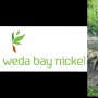 Profil Weda Bay Nickel: Penambang yang Diduga Bikin Suku Hongana Manyawa Ngamuk