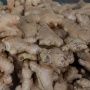 Selain sebagai Bumbu dan Obat Tradisional, Ini 3 Manfaat Lain Akar Jahe