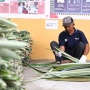 Pertamina EP Subang Field Kembangkan Inovasi Berkelanjutan dari Serat Olahan Daun Nanas