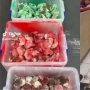 Pria Buang Puluhan Tikus Berwarna Bendera Palestina ke McDonalds Birmingham Viral: Aksi Protes?