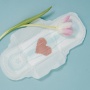 Nggak Usah Malu Bawa Pembalut di Tempat Umum, Menstruasi Itu Normal!