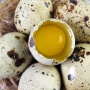 Cocok Bagi Penunjang Program Diet, Ini 3 Manfaat Mengonsumsi Telur Puyuh