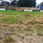 Rumput Stadion Maulana Yusuf Rusak Parah, Disparpora Kota Serang Berdalih sedang Renovasi