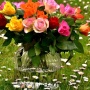5 Jenis Bunga Berfilosofi Romantis yang Cocok untuk Hadiah di Hari Ibu