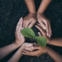 Cara Emiten BELI Tingkatkan Ecopreneur di Dalam Negeri