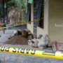7 Fakta Mengerikan Kerangka Perempuan Dicor di Blitar: Warga Curigai Gelagat Suami
