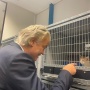 Geert Wilders, Calon Perdana Menteri Belanda Berdarah Sukabumi Tapi Anti Islam