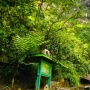 Cuci Mata Lewat Keindahan Alam di Wisata Air Terjun Coban Rondo, Kabupaten Malang