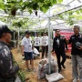 Ganjartivity Gelar Diskusi Bersama Petani hingga Warga di Sukabumi Soal Budi Daya Anggur