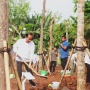 Presiden RI Joko Widodo Hadiri  Gerakan Tanam Pohon Bersama PT Astra International Tbk, Total Bibit Mencapai 500 Batang