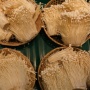 Perlu Diperhatikan, Berikut 3 Tips Mengolah Jamur Enoki dengan Aman