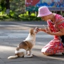 Penting! 5 Keistimewaan Merawat Anjing yang Ternyata Bisa Menangkal Demensia