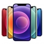 Luar Biasa! iPhone 12 Tak Rusak Meski Terendam 3 Bulan di Sungai