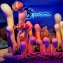 Suguhkan Pengalaman Unik Untuk Mengenal Biota Laut, Oceanarium BXSea Bintaro Resmi Dibuka