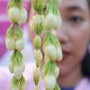 Rangsang Peningkatan Pendapatan Ekonomi Masyarakat Lewat Beauty Course Meronce Melati