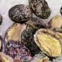 Dikenal Mahal, Berikut 3 Manfaat Mengonsumsi Kerang Abalon