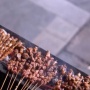 Cocok untuk Makan Malam, 3 Kuliner Sate di Yogyakarta Ini Wajib Kamu Cicipi