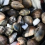 3 Manfaat Mengonsumsi Kerang Kepah, Salah Satunya Menjaga Kehamilan