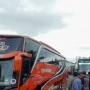 Kemenhub Siapkan 722 Unit Bus untuk Mudik Gratis 2024, Cek Lokasinya...
