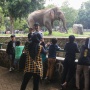 Ragunan Uji Coba Buka Malam Hari Ini: Simak Jadwal 'Feeding Time' Harimau hingga Kuda Nil
