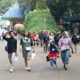Hore! Taman Margasatwa Ragunan Tetap Buka saat Idul Adha Besok, Warga Jakarta Bisa Puas Liburan Bareng Keluarga