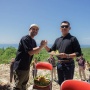 Polemik Beach Club Raffi Ahmad di Gunungkidul
