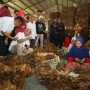 PP 28 Tahun 2024 Dinilai Longgar, Pengamat UI Sebut Ada Tekanan Industri Tembakau dalam Regulasi Iklan Rokok