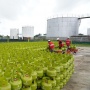 Pertamina Patra Niaga bersama Kementerian ESDM Cek Kesiapan Layanan Energi di Banyuwangi dan Bali