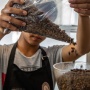 Kopi Ini Jangkau Pasar Lebih Luas Berkat Pemberdayaan BRI KlasterkuHidupku