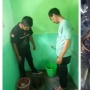 Beberes Sekolah, Guru TK Malah Temukan 14 Ular Kobra saat Libur Semester