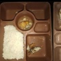 Curhat Napi Protes Makanan di Penjara: Wahai petinggi, Manusiakanlah Kami Sebagai Warga Binaan...
