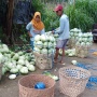 Relawan Prabowo Borong Sayur yang Tak Laku dari Petani 7 Ton Per Hari