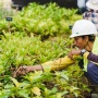 Strategi LPKR Terapkan Konsep Eco Living