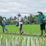 Dialog Bersama Petani, Ketum PPP Singgung Pasokan Pupuk dan Teknologi Pertanian
