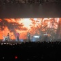Konser The Rose Semalam Berakhir Sukses Besar, Fans Sing A Long Bareng