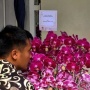 Dikirim Presiden Jokowi Untuk Megawati Soekarnoputri, Ini Makna Bunga Anggrek Ungu