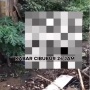Siswa SMP di Ciracas Jaktim Diduga Cabuli Anak TK di Pinggir Kali, Videonya Viral!