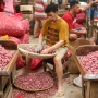 Harga Pangan Nasional Kompak Turun 19 Januari 2026, Bawang Merah hingga Cabai Makin Murah