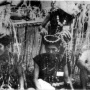 Pengertian dan Fungsi Beliant Bawo, Ritual Adat Penyembuhan Ala Suku Dayak
