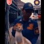 Terlalu Agresif hingga Lukai Warga, Kucing 'Oyen' Diamankan Damkar