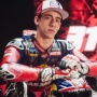 Hasil MotoGP Sepang Shakedown Hari 1-3: Performa Pedro Acosta Bikin Kagum!